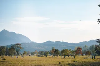 Autumn in Tachuan, a visual feast 