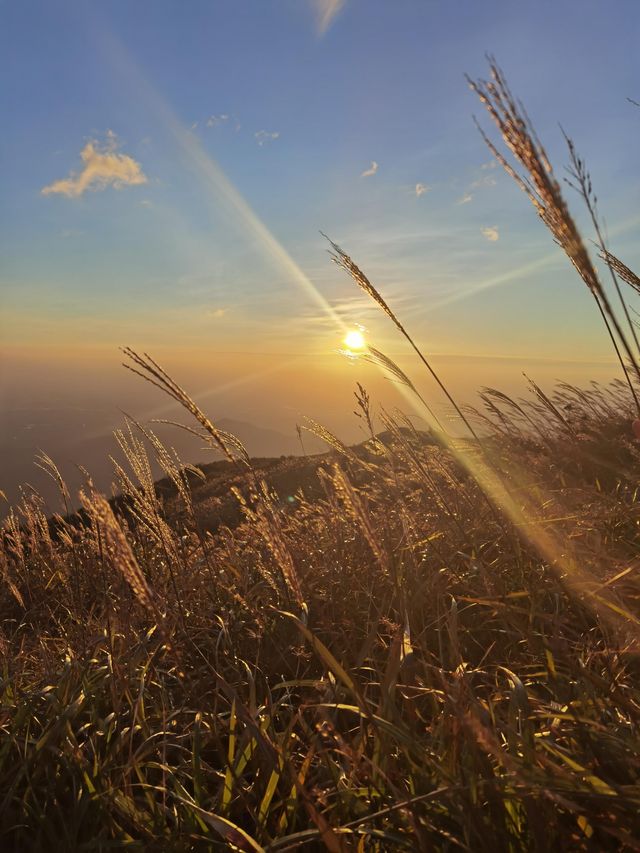惠州羅浮山|登高尋訪葛洪跡 觀瀑聽泉洗塵心 惠州羅浮山|登高尋訪葛洪跡 觀瀑聽泉洗塵心