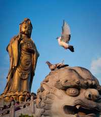 寧波-舟山4日遊 超全攻略來啦