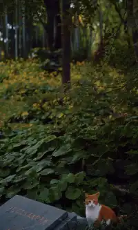 上海市中心兩小時賞秋路線