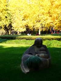 上海小眾秘境金黃銀杏與紅葉交織的治癒公園