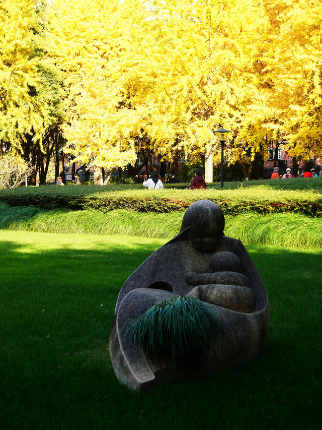 上海小眾秘境金黃銀杏與紅葉交織的治癒公園
