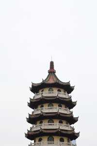 探訪寶島公園:都市中的靜謐一隅