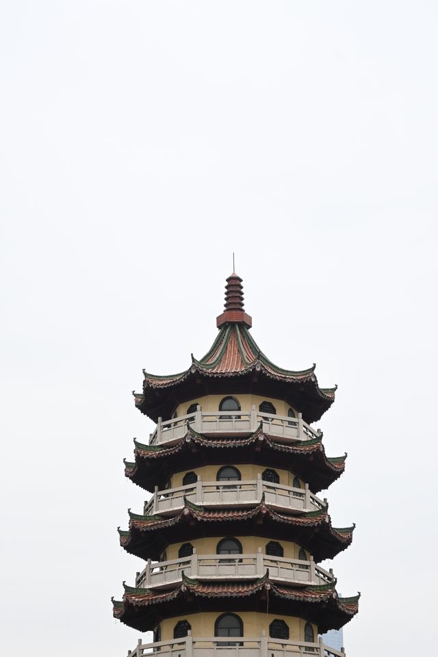 探訪寶島公園:都市中的靜謐一隅 探訪寶島公園:都市中的靜謐一隅