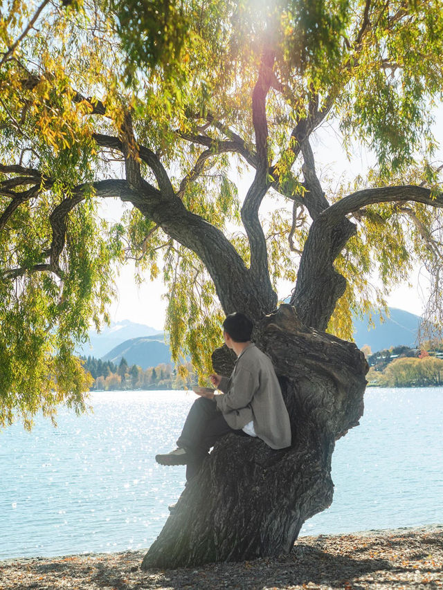 自由行紐西蘭！中文包車定制可辦簽證