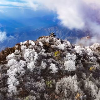 Bet on Snow at Baishi Mountain, If No Snow on December 12, Promise You a Reunion in Spring