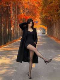 citywalk 狂喜藏在市區的金色森林