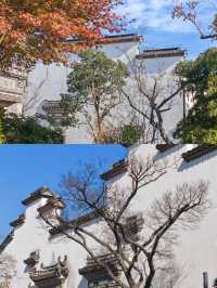 深秋的廣富林|把江南詩意焊在骨子裡的絕美打卡地