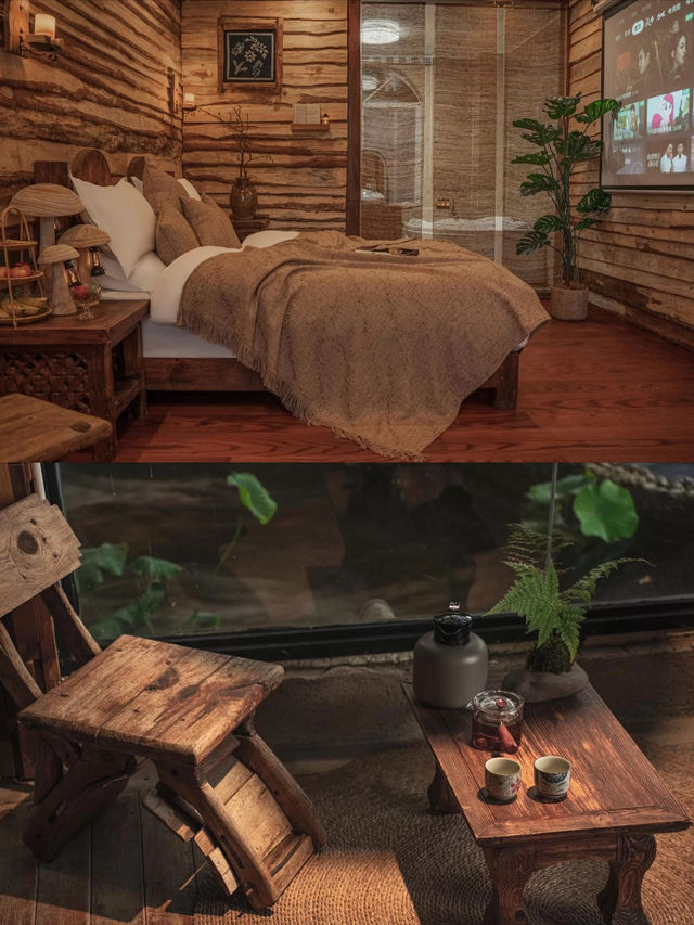 住進森林樹屋吸氧躺平治癒所有疲憊