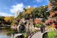 魔都小眾治癒地輔德里公園|市中心藏的森林綠洲