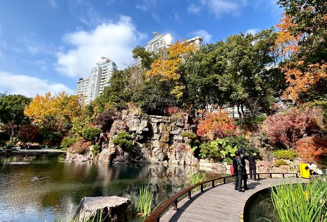 魔都小眾治癒地輔德里公園|市中心藏的森林綠洲 魔都小眾治癒地輔德里公園|市中心藏的森林綠洲