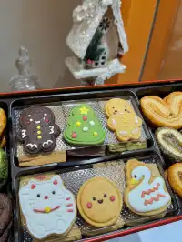 香港8小時拍完漂亮聖誕樹(挑戰成功版!)