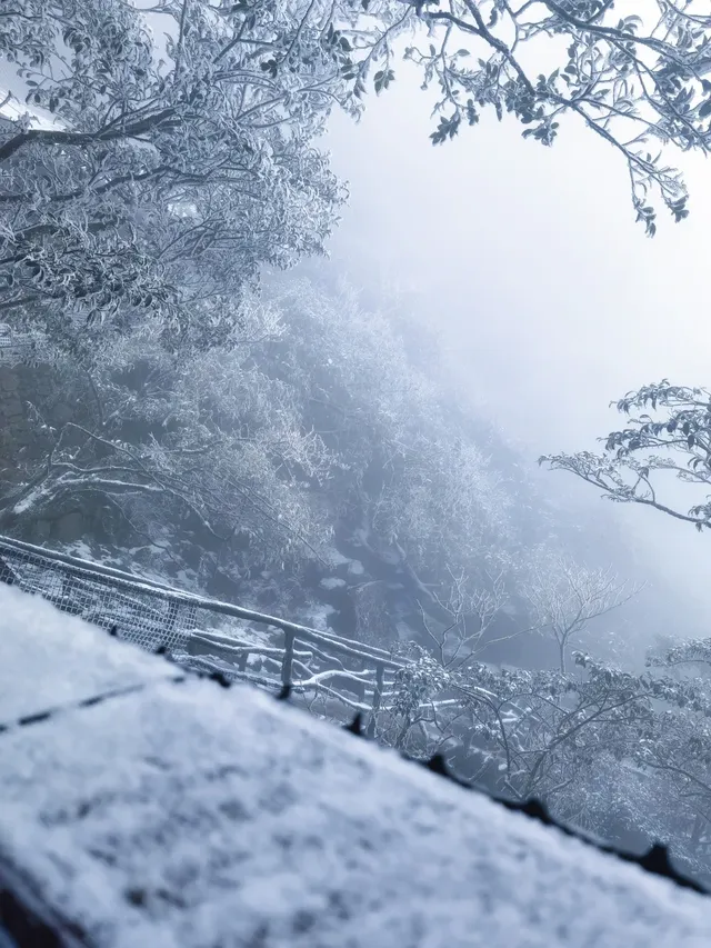 武功山下雪預警!開始期待今年的白色武功山 武功山下雪預警!開始期待今年的白色武功山