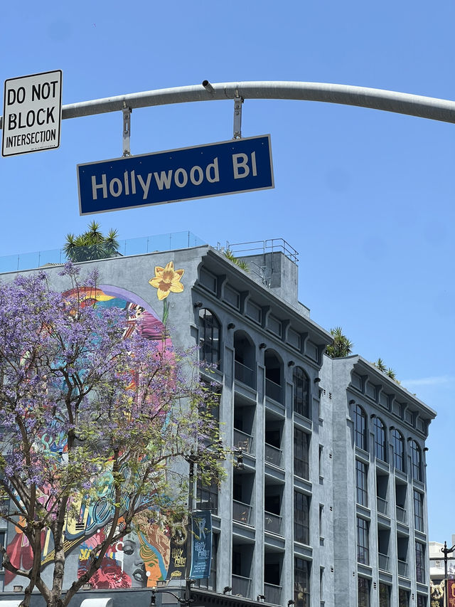 Los Angeles – Sunshine, City Lights & That Hollywood Dream