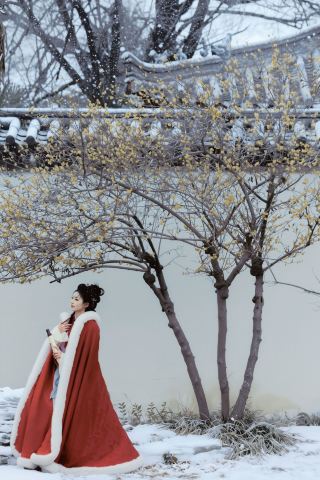 Kaifeng Travel Photography | Experience the Millennium Song Dynasty Charm with Winter Snow and Wintersweet at Iron Pagoda Park