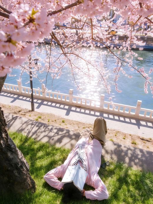 3月18日実写の緑の草地とピンクの桃の花は本当に絶妙な組み合わせです