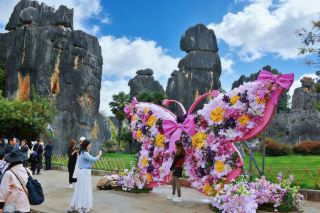 The Stone Forest has added a new colorful butterfly display, a limited-time spring check-in sensation on social media
