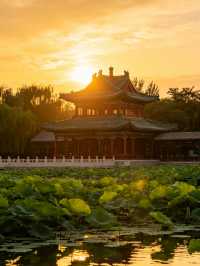 蓮池書院｜保定夏日荷塘古風秘境