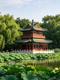 蓮池書院｜保定夏日荷塘古風秘境