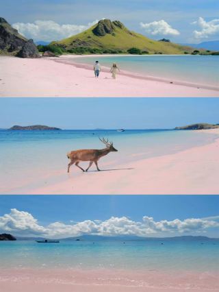 Experience volcanoes and blue seas: a complete itinerary for a long trip in Indonesia
