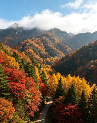 Autumn in Guangwu Mountain: A Journey to the Northern Sichuan Red Leaves and Millennia of Culture