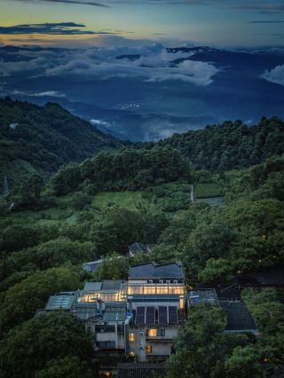 Stay in the primeval forest and watch the sea of clouds roll over Ailao Mountain.