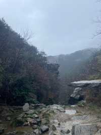 廬山驗榜報告｜不愧是必打卡榜上的神仙景點！