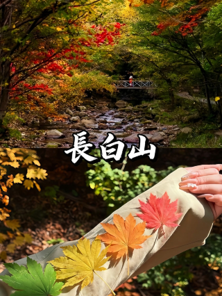 長白山｜入住熙悅里，奔赴一場雪山下的慢旅