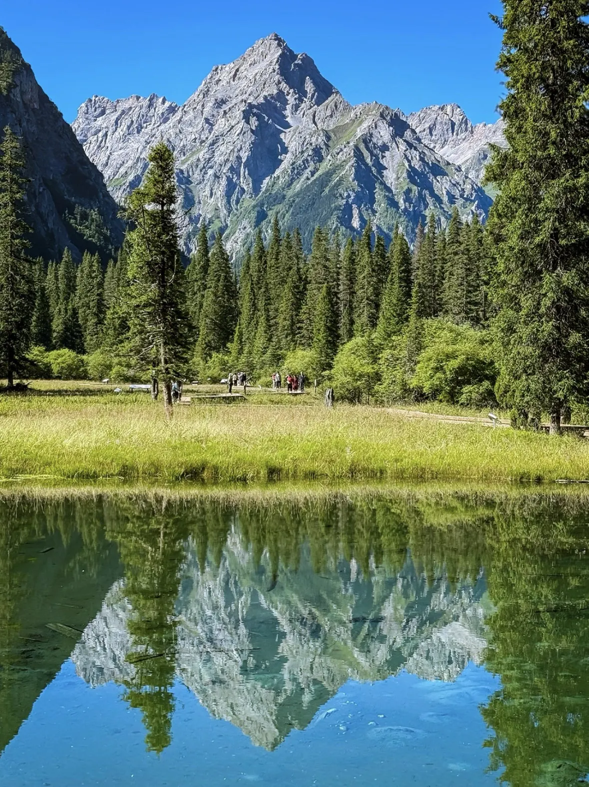 A 1-day trip to Wanglang, Pingwu: A pristine forest hidden deep in the Minshan Mountains