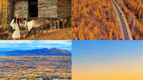 Skip the crowds! Visit the Greater Khingan Mountains in September–October for an incredible autumn experience — traveler post in Huma