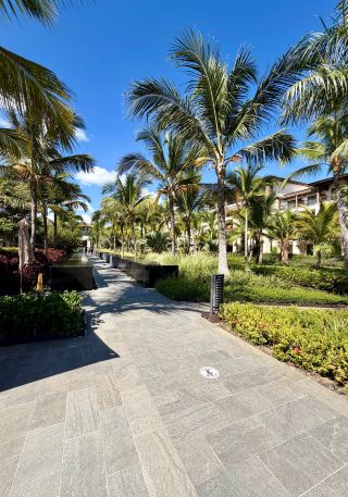 Amazing Stay as Unique Guests at Lopesan Costa Bávaro