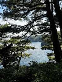 十一去日本7日遊保姆級攻略太香了