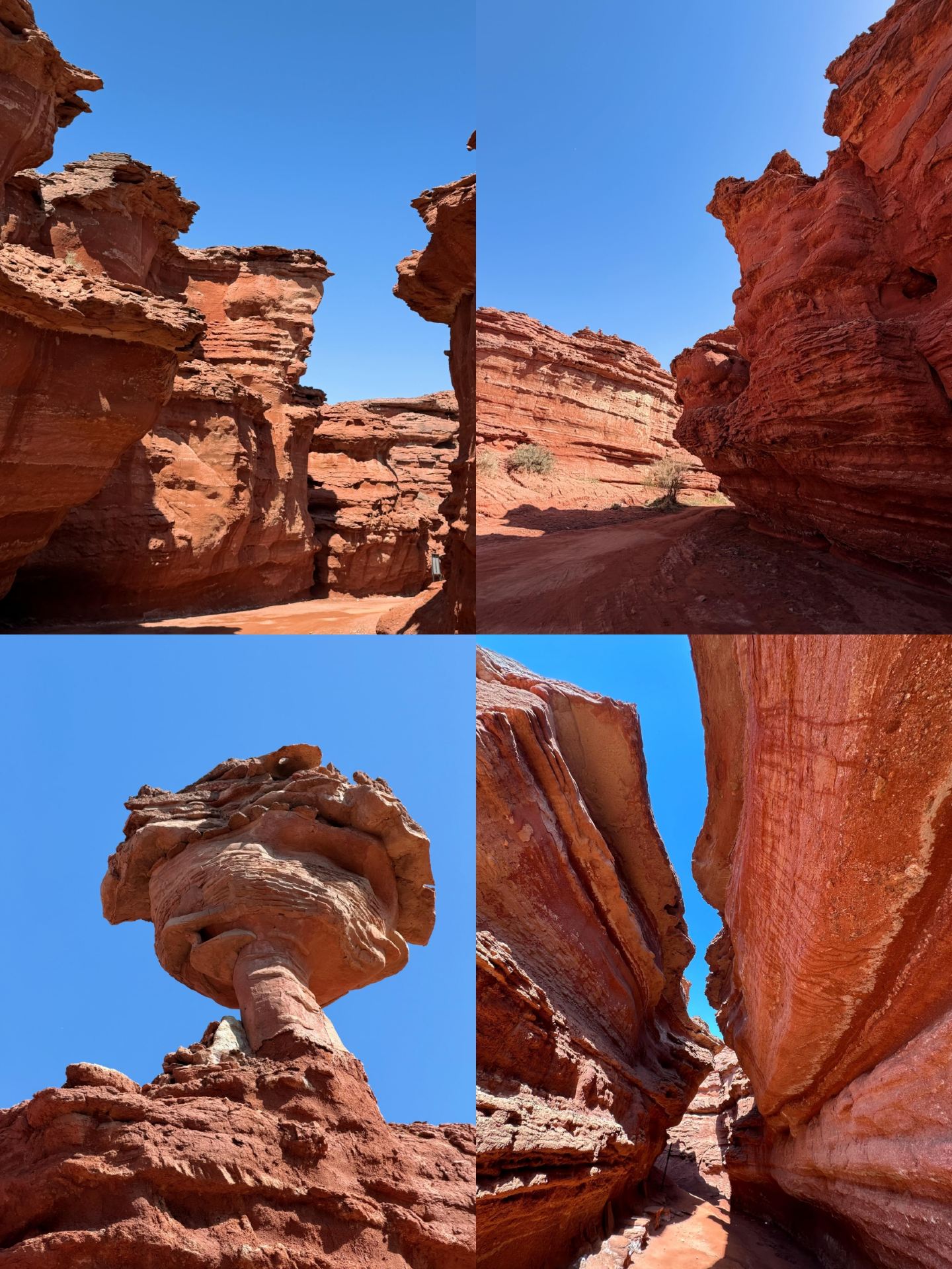 巴彥淖爾三天「躺平」攻略