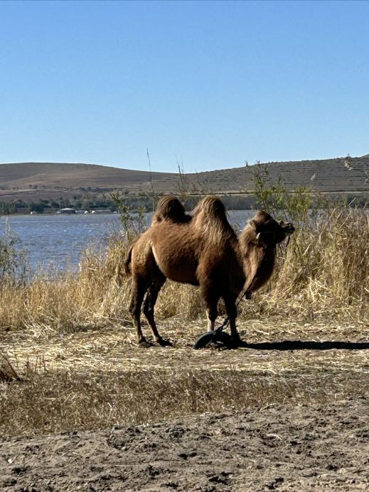 Off-peak autumn trip to Lightning Lake: No traffic jams during National Day