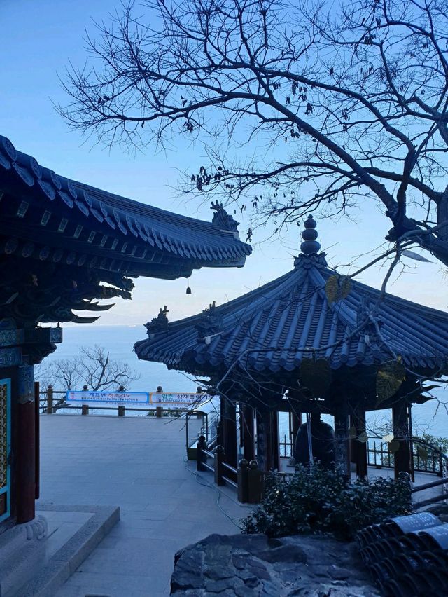 향일암 여수 오면 무조건 여기!
