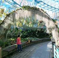 台中 國立自然科學博物館植物園

