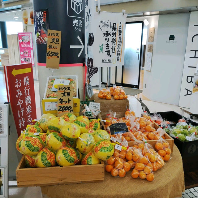 高知空港は郷土愛に溢れている！坂本龍馬もよさこいもアンパンマンもぼうしパンも！