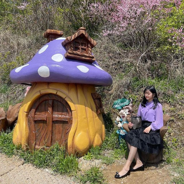 포천의 작은 베니스, 포천 허브 아일랜드🥰
