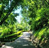 Peak of Tranquility: Bihaiwan Park🌳🌄