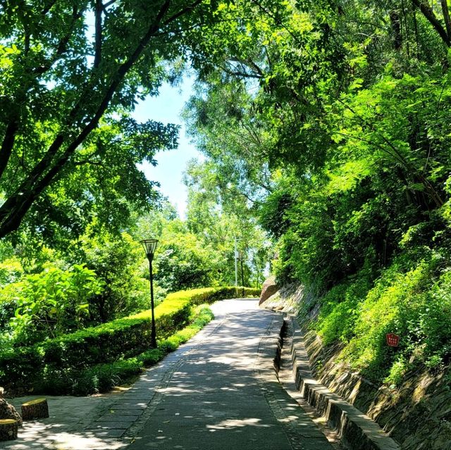Peak of Tranquility: Bihaiwan Park🌳🌄
