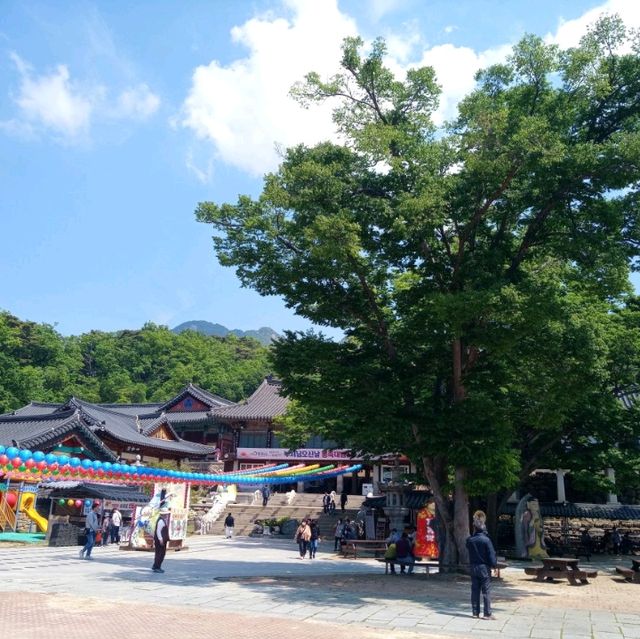 만여개에 연등이 가득한 팔공산 동화사 대웅전 앞에서다