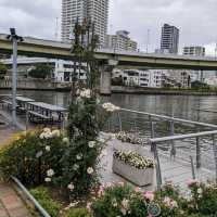 中之島バラ園の、Ｒ.RiversideGrill＆BEERGARDEN
