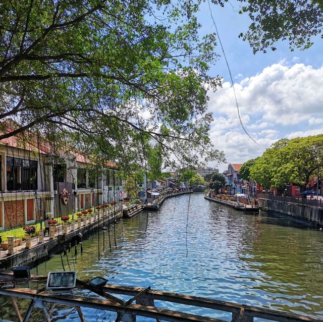 The fascinating river cruise! 🌊🚢