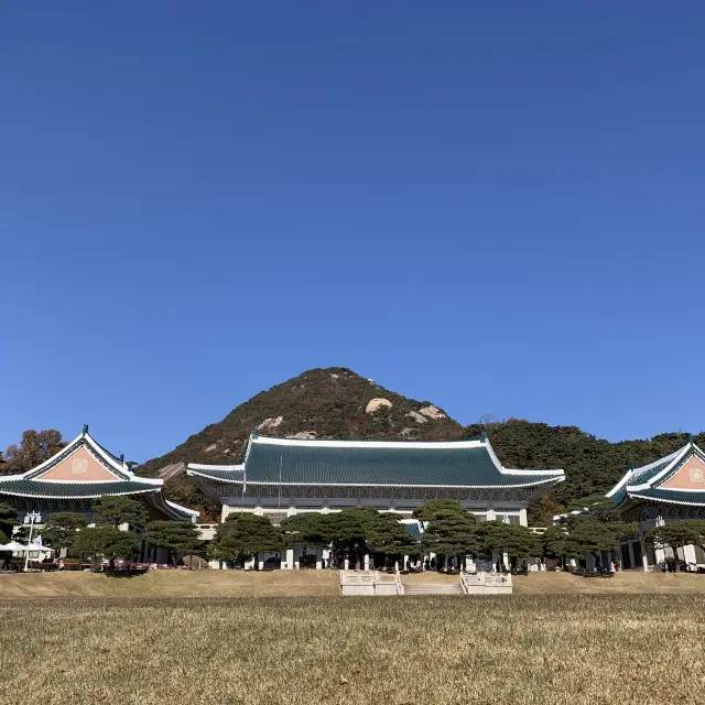 74년만에 국민들을 위해 개방한, 청와대