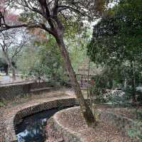 嘉義景點-嘉義公園