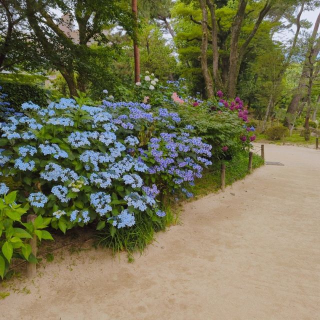 【広島の穴場スポット】国指定名勝「縮景園」