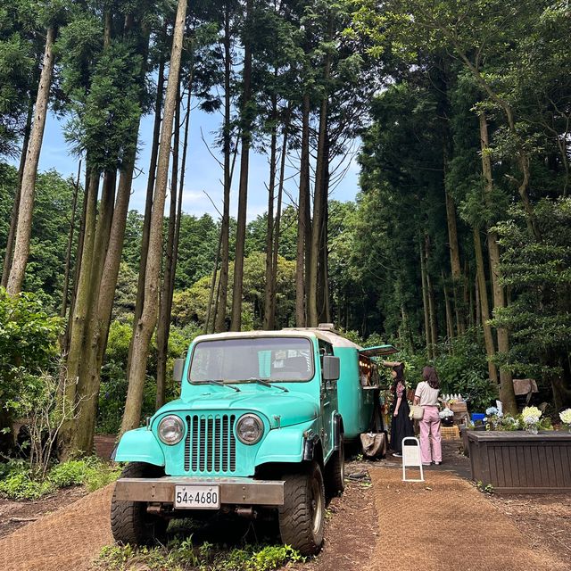 Secret Forest
