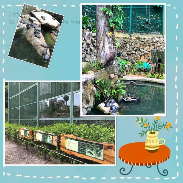 二龍喉公園動物尋蹤😍📸