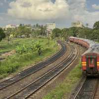 Rails to Paradise: Sri Lanka's scenic beauty 