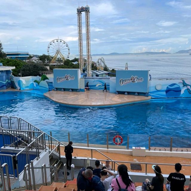 summer Ocean Park